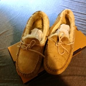 Uggs slippers/shoes
